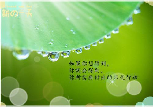 有关班主任综合评语摘录56条