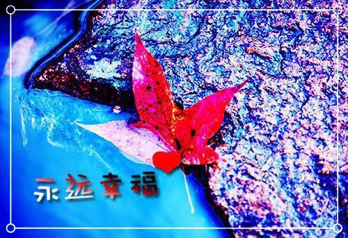 高中励志文章:想要到达繁华，必经一段荒凉
