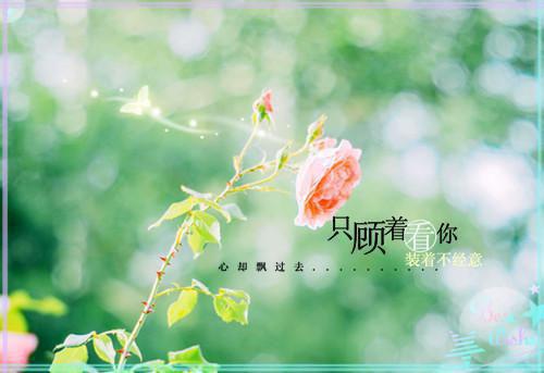 名人幸福观
