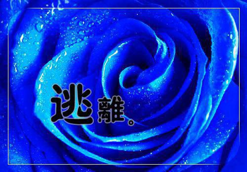 表白的情书100字范文