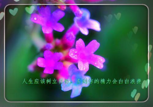 小學生成語故事表演中的故事