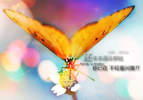 2020励志格言推荐
