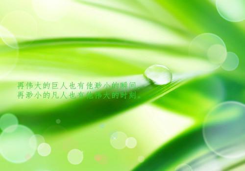 文化智慧的文化自信励志日志