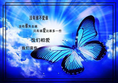 不止烟花一场，还求与你执白头