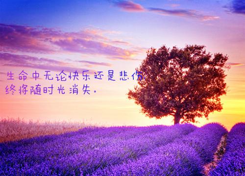 关于早安励志话语精选