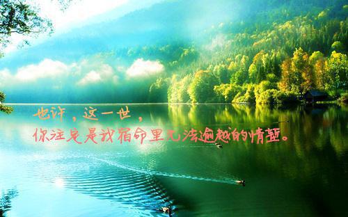 中秋寄语汇编55句