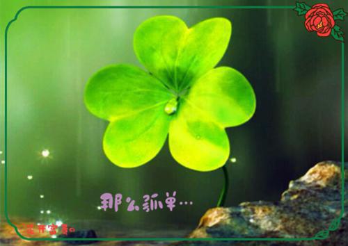 精选日记作文400字合集七篇