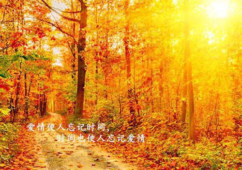 通用幸福的签名集锦45句