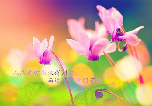 2020年搞笑情书范文