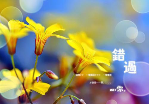 用心感受那《第一场雪》
