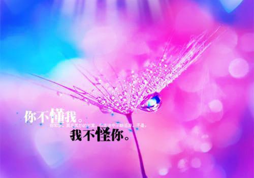 关于放飞心情的句子