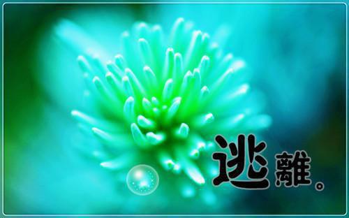 爱惜名誉的名言警句