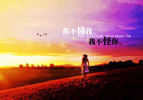 【精】描写梅花的四字词语