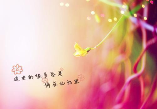 8岁小孩的睡前故事