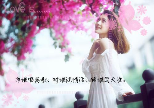 有关廉洁的格言集锦