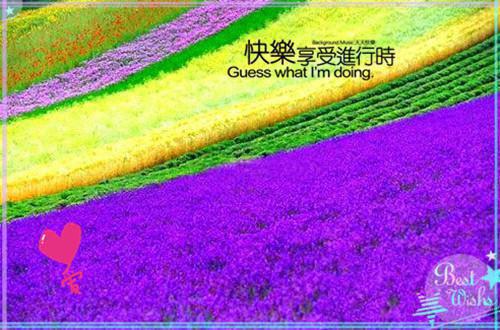【推荐】大学生军训日记3篇