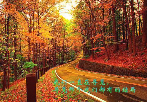 关于教师节的格言警句