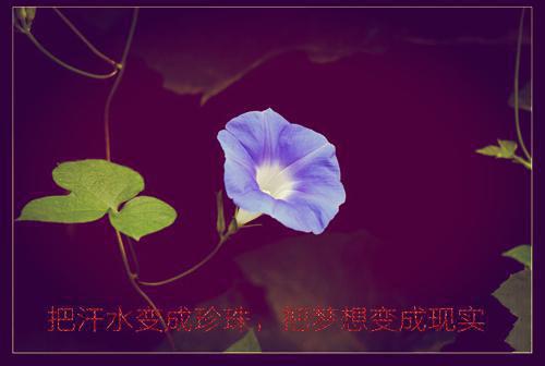 有什么励志的粤语歌