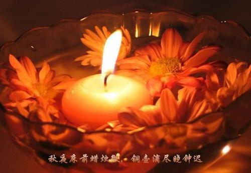 有招没招经典台词