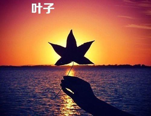 重阳节的来源传说