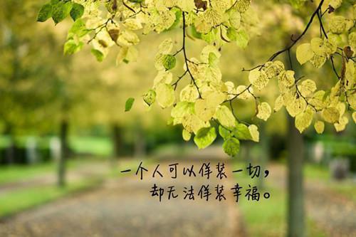 关于植物童话故事