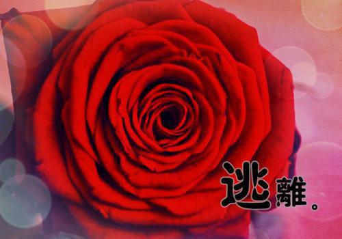 歷史事件石崇王愷比富