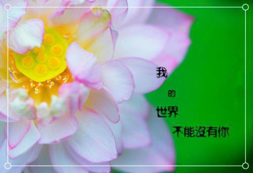 关于幼儿园教师励志格言