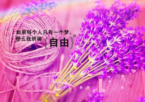 《边城》读后感[400]字作文（通用5篇）