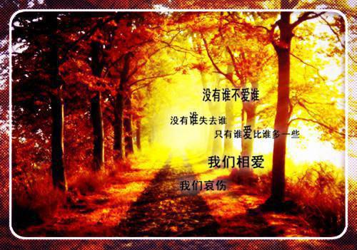 洋葱头历险记读书笔记