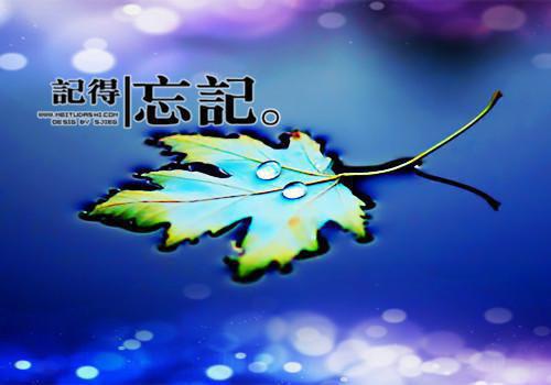 带她回家慕晚晚薄司寒小说最新章节免费阅读