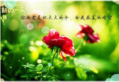重生美妻夫君请笑纳骆笙苏曜完结版免费小说全文阅读