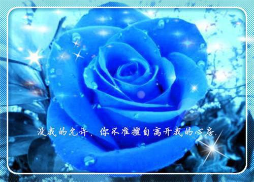 孔子名言精选翻译