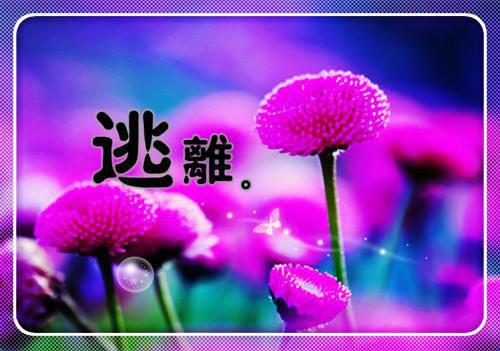 如若月兮，抚琴沐雪