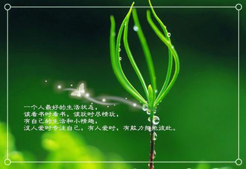 奋斗的哲理名言短句经典霸气奋斗励志名言