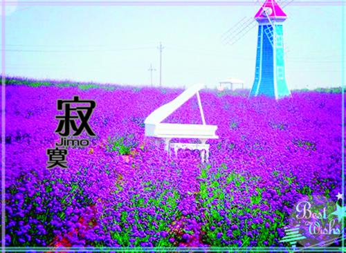 格林童话故事莴苣姑娘
