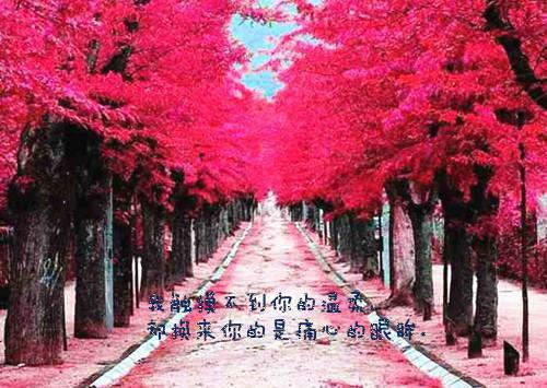 睡前童话故事400字左右【四篇】