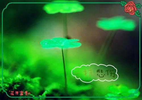 有关秋天的古诗陶渊明《戊申岁六月中遇火》赏析