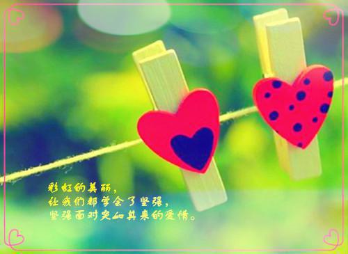关于藏獒的传奇故事