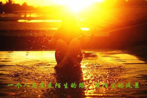 《疯狂动物城》台词英语学习