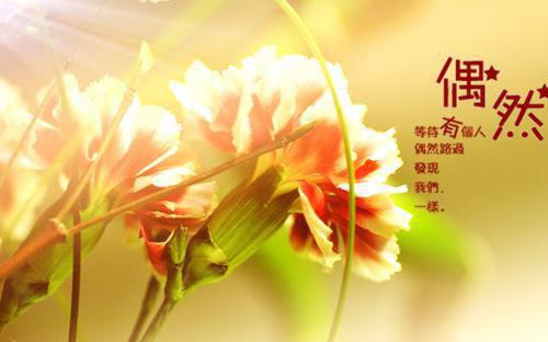 诚信坚强的名言