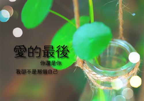 大學(xué)生個(gè)人創(chuàng)業(yè)感人事跡