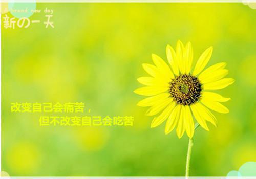 爱情霸气励志的话
