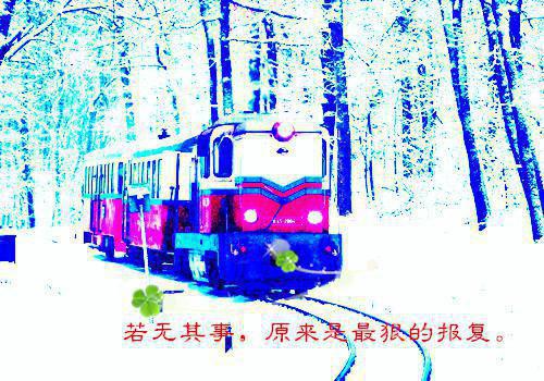 关于写爸爸的爱作文4篇