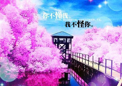 【推荐】2021年伤感的签名合集35条