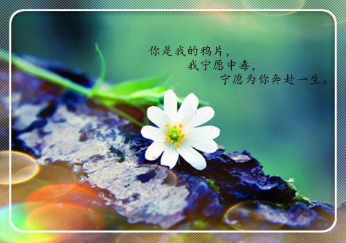 大勇若怯大智若愚出自什么地方