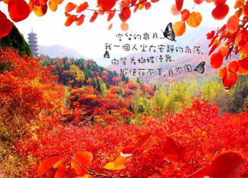 超短英语故事