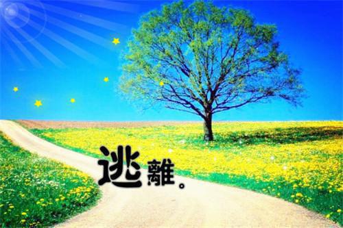 新年职场励志文章