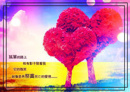 阳光甚好的唯美句子