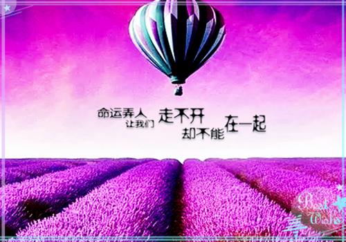 清新的励志小诗