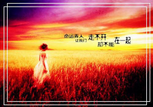 绿野仙踪读后感300字（精选27篇）